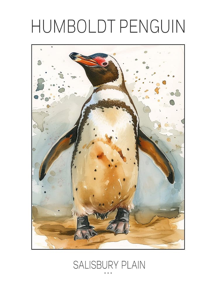 Humboldt Penguin Salisbury Plain Watercolour Painting 1 Poster
