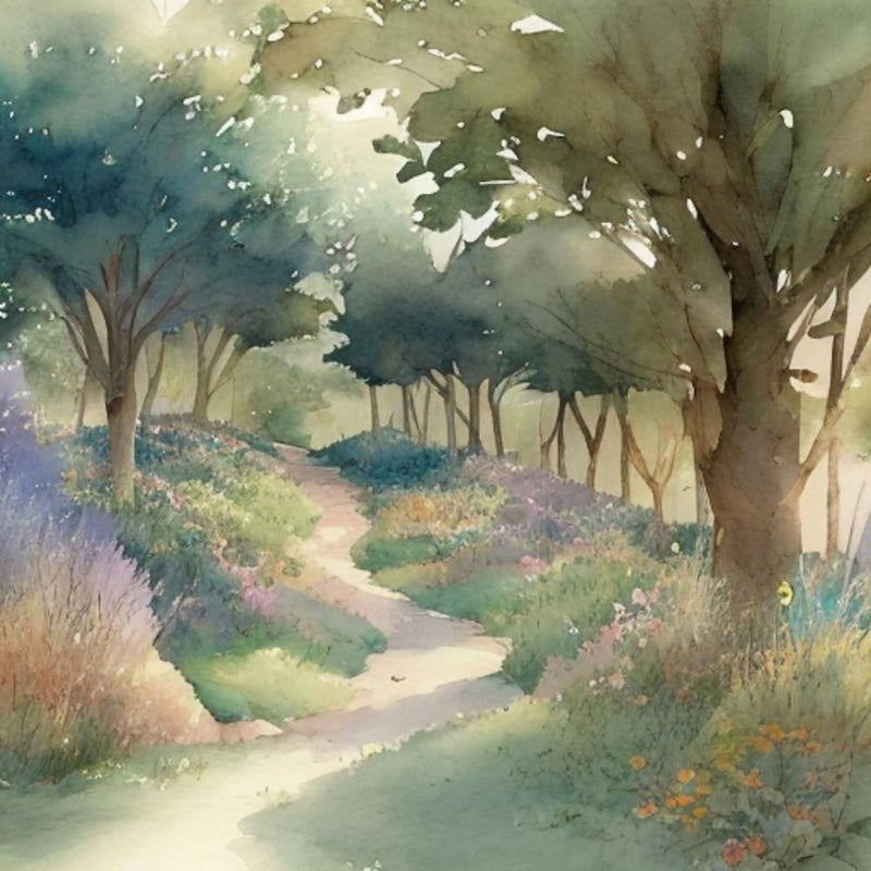 Path In The Woods