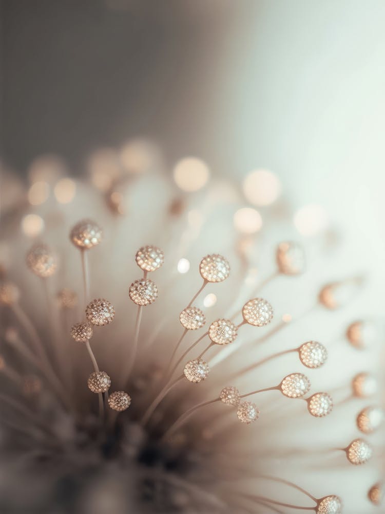 Glassy Flowers