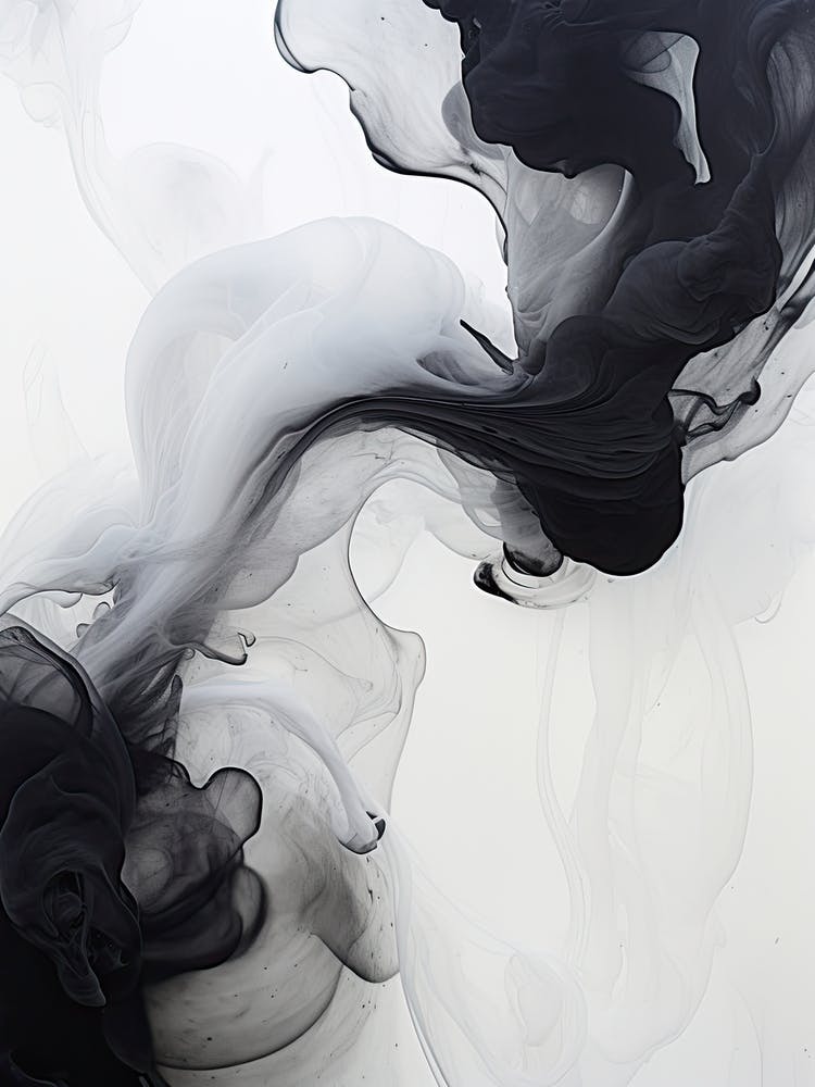 Black And White Flow Asbtract Painting 2