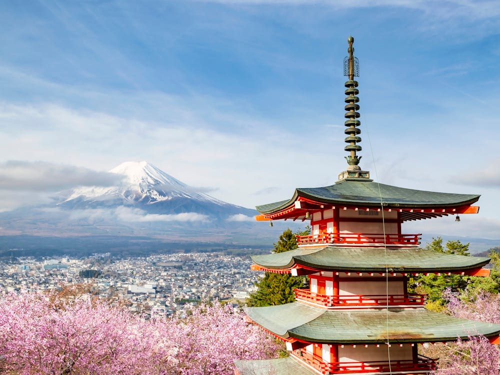 Mount Fuji With Pagoda During Cherry Blossom Season