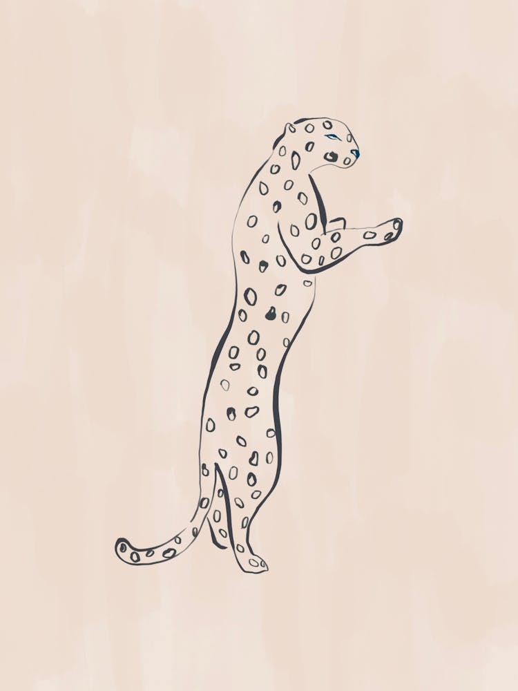 Cheetah 1