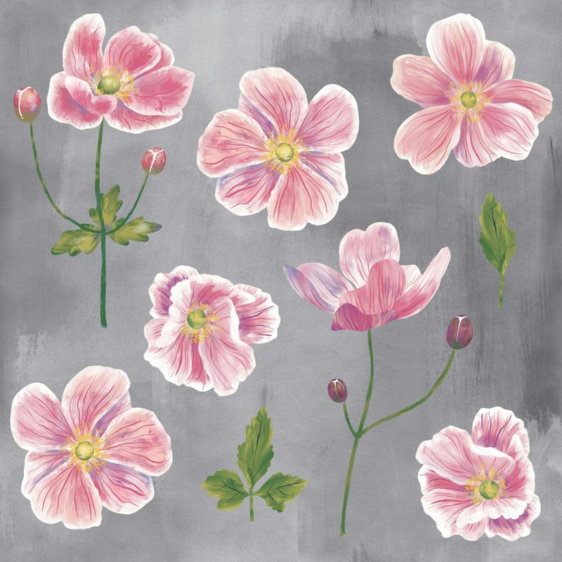 Pink Japanese Anemone Flowers