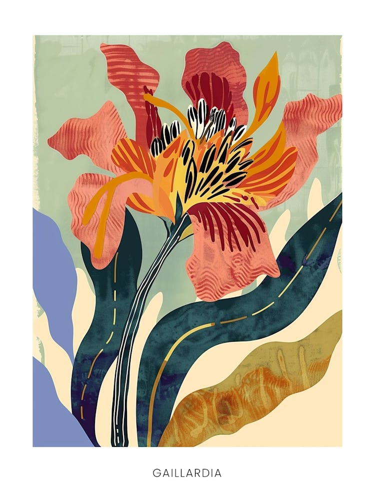 Colourful Flower Illustration Poster Gaillardia 4