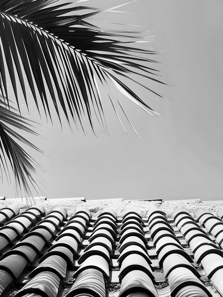Palm Tree On Roof