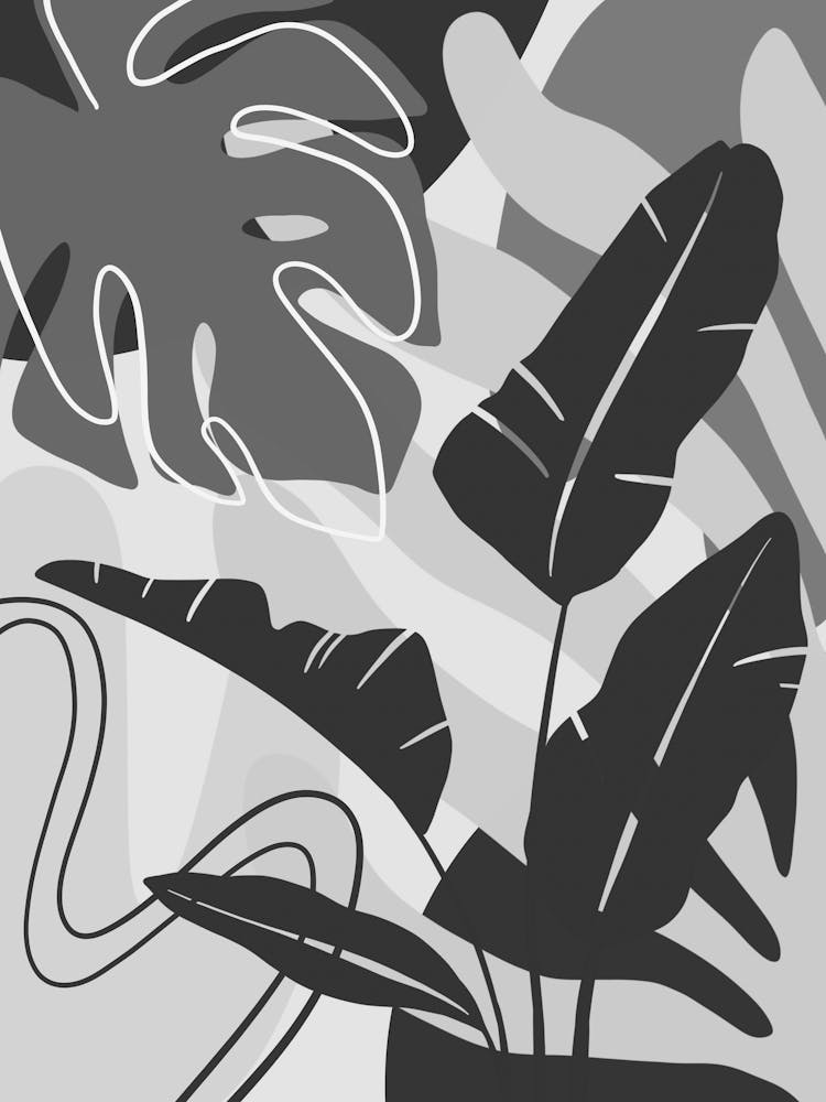 Black And White Illustration 3