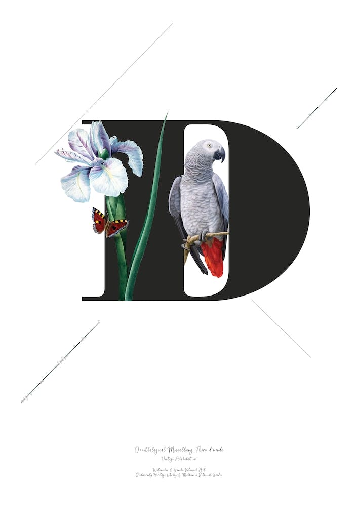 Botanical Alphabet D