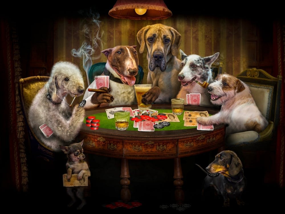 Chien Amusant Jouant Aux Cartes Poker 1