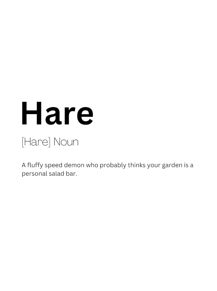 Hase Definition Bedeutung