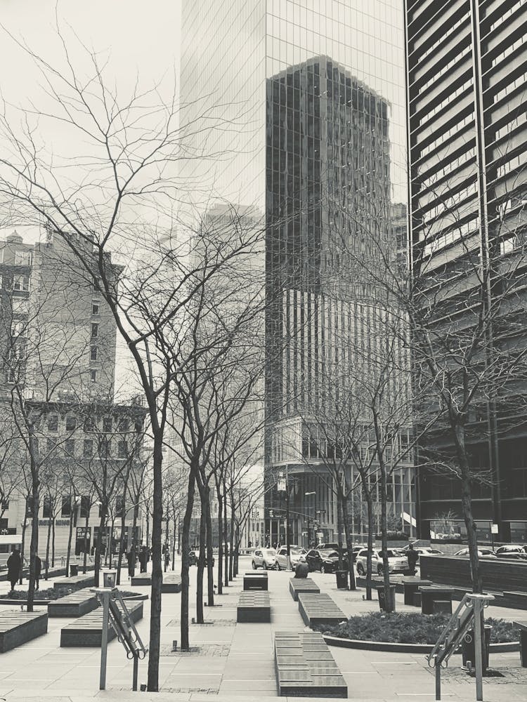 City In Winter