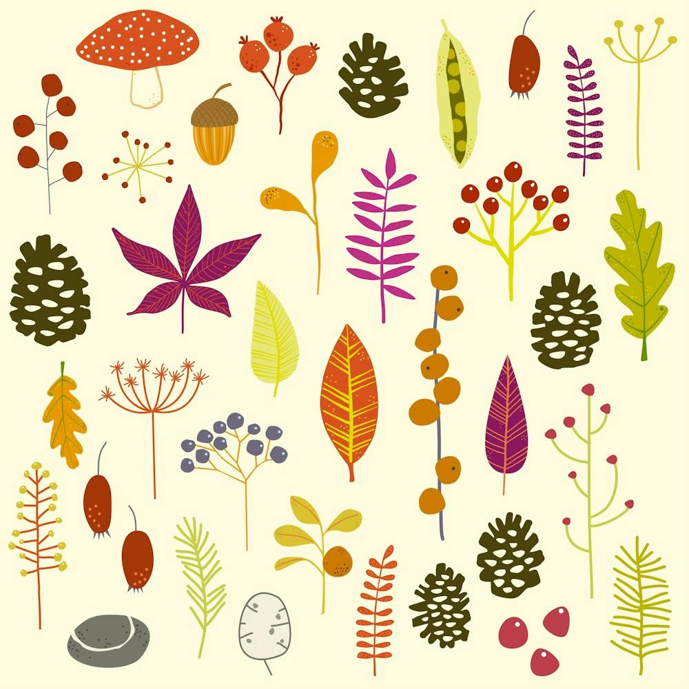 Autumn Leaves and Forest Finds