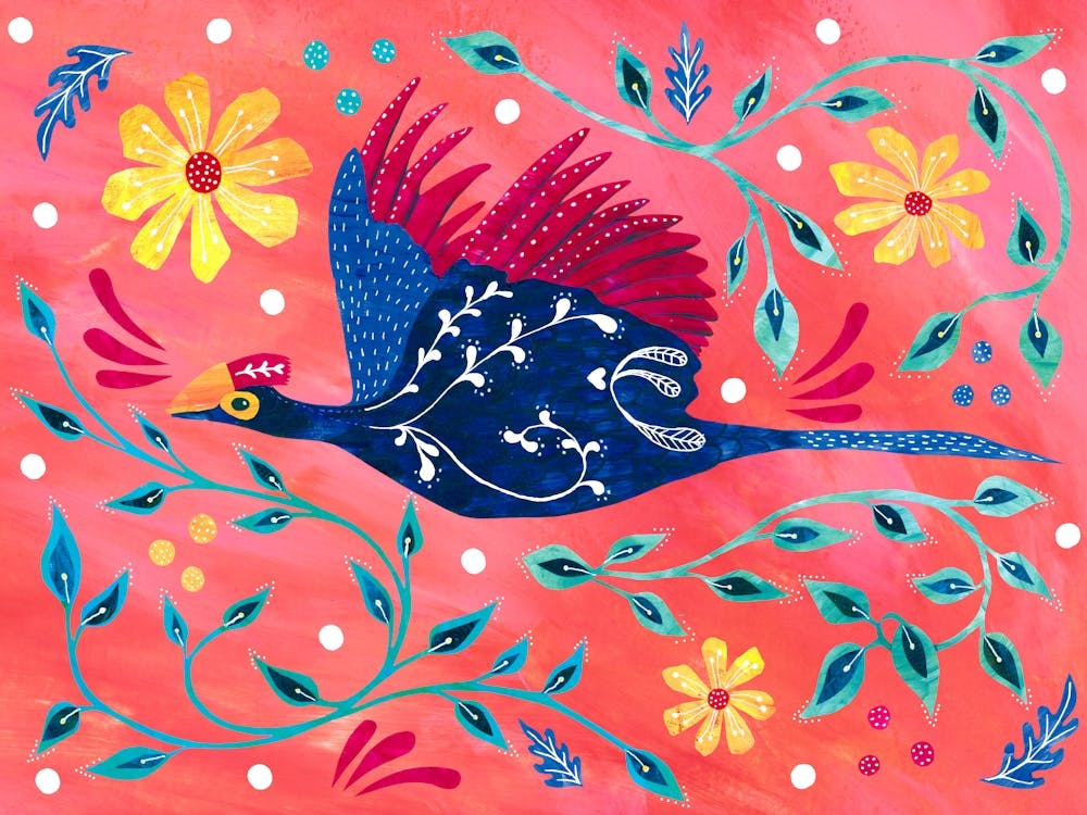 Folklore Lady Ross's Turaco Bird