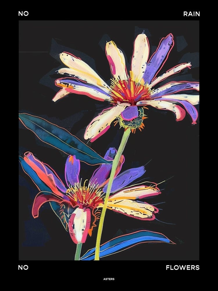 No Rain No Flowers Poster Asters 3