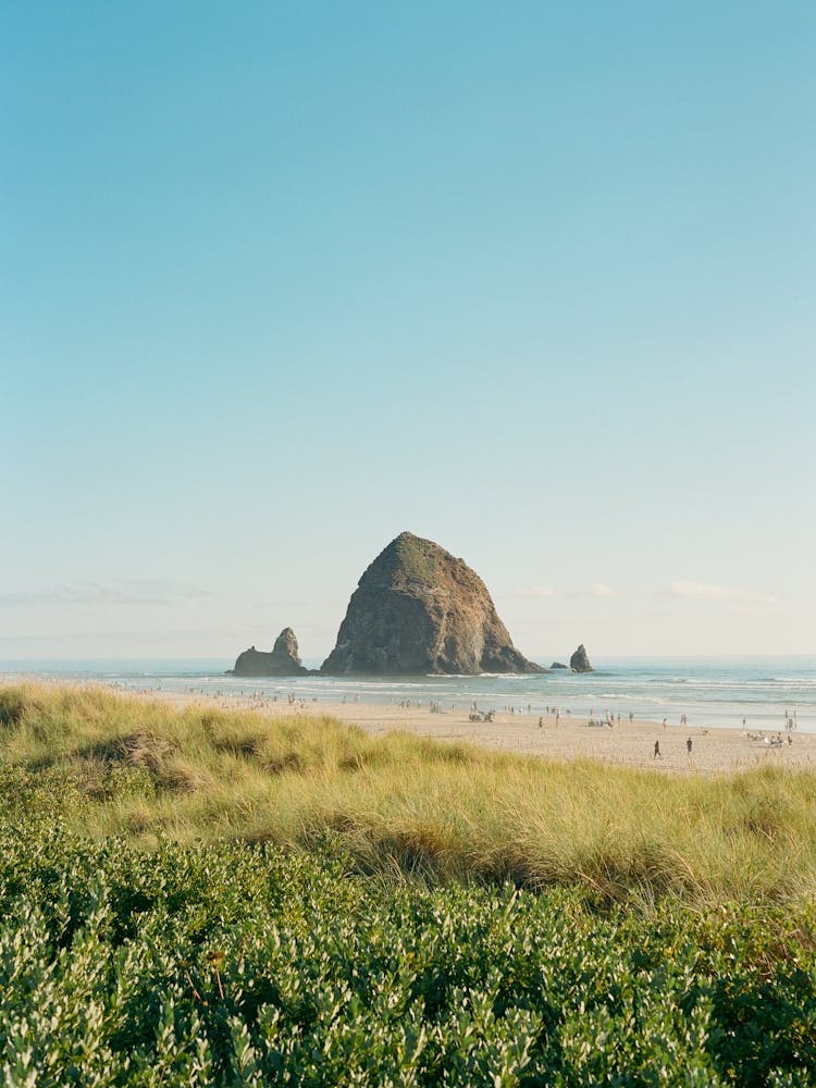 Cannon Beach on Film