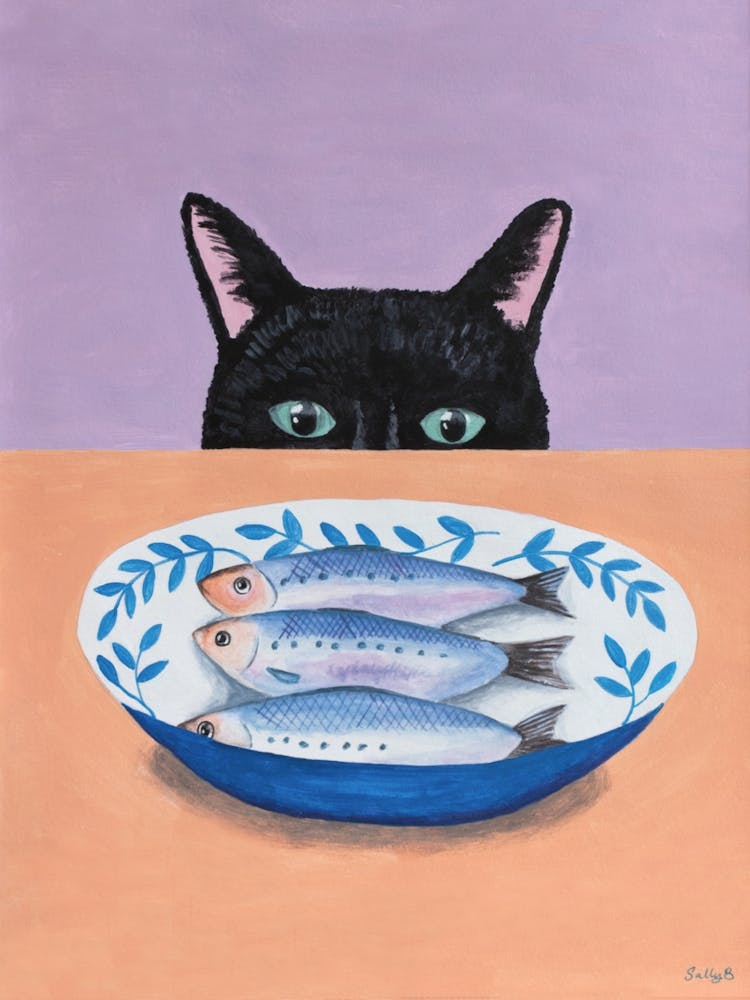Cat And Fishes