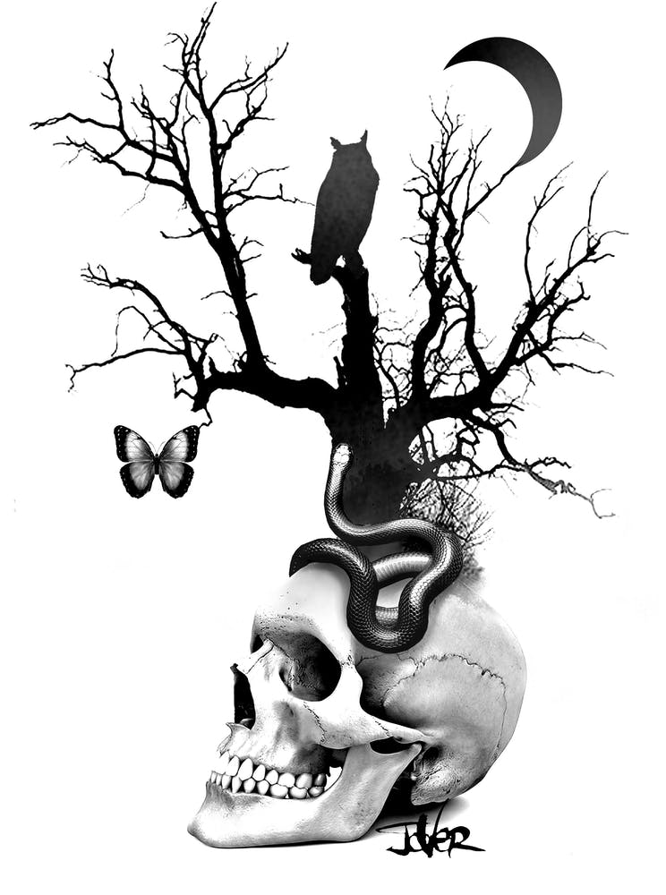 Death And The Serpent