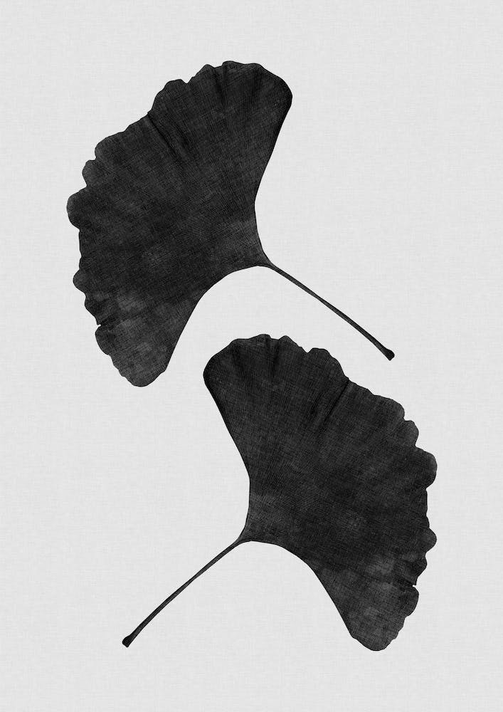 Ginkgo Leaf Black & White I