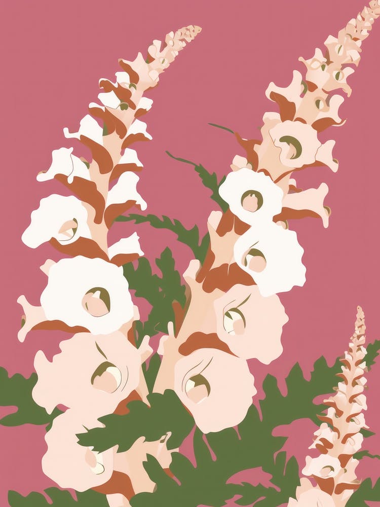 Foxgloves Flower Big Bold Illustration 2