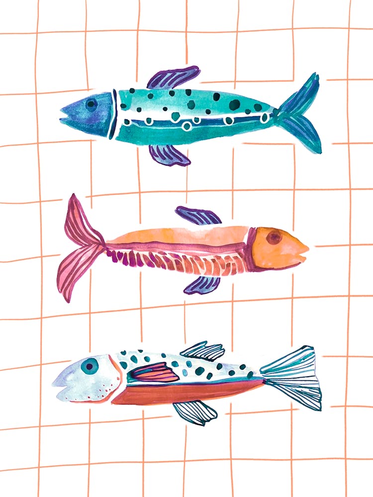 Watercolor Fish & checks pink