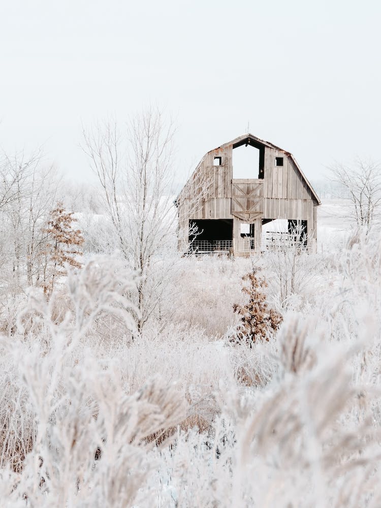Snowy Abandoned Barn