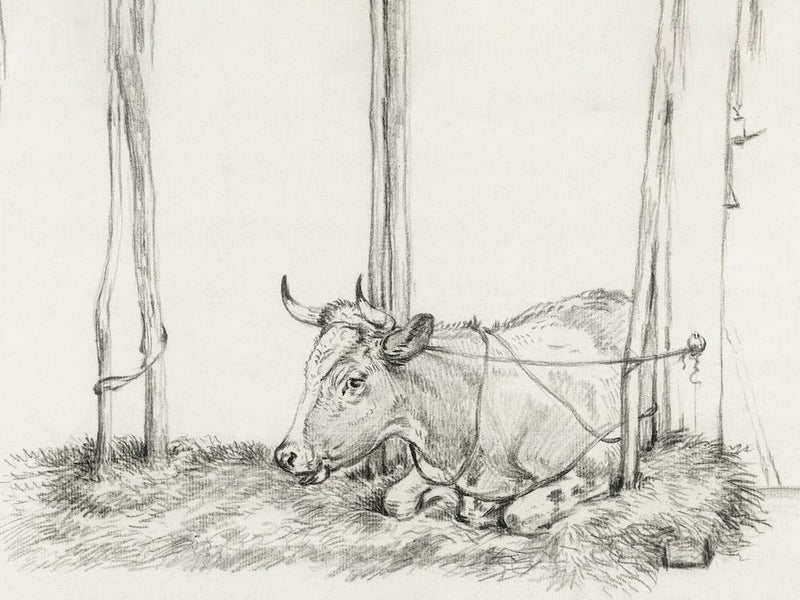 Lying Cow 2, Jean Bernard