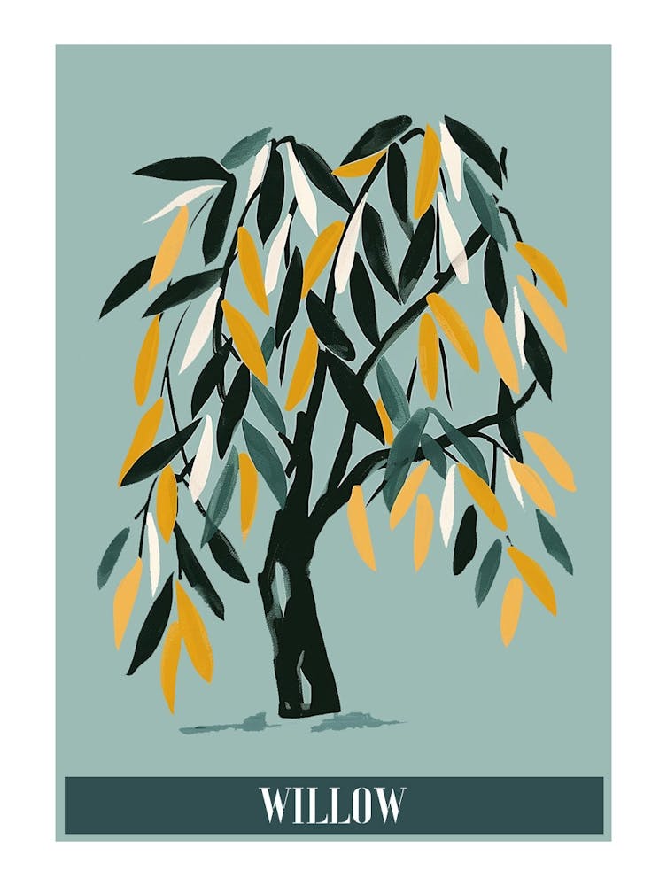 Arbre Pleureur Illustration Plate 7 Affiche