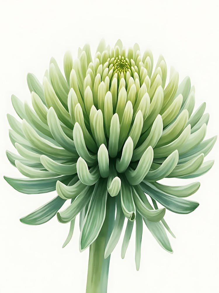 Lush Sage Botanical Shadows