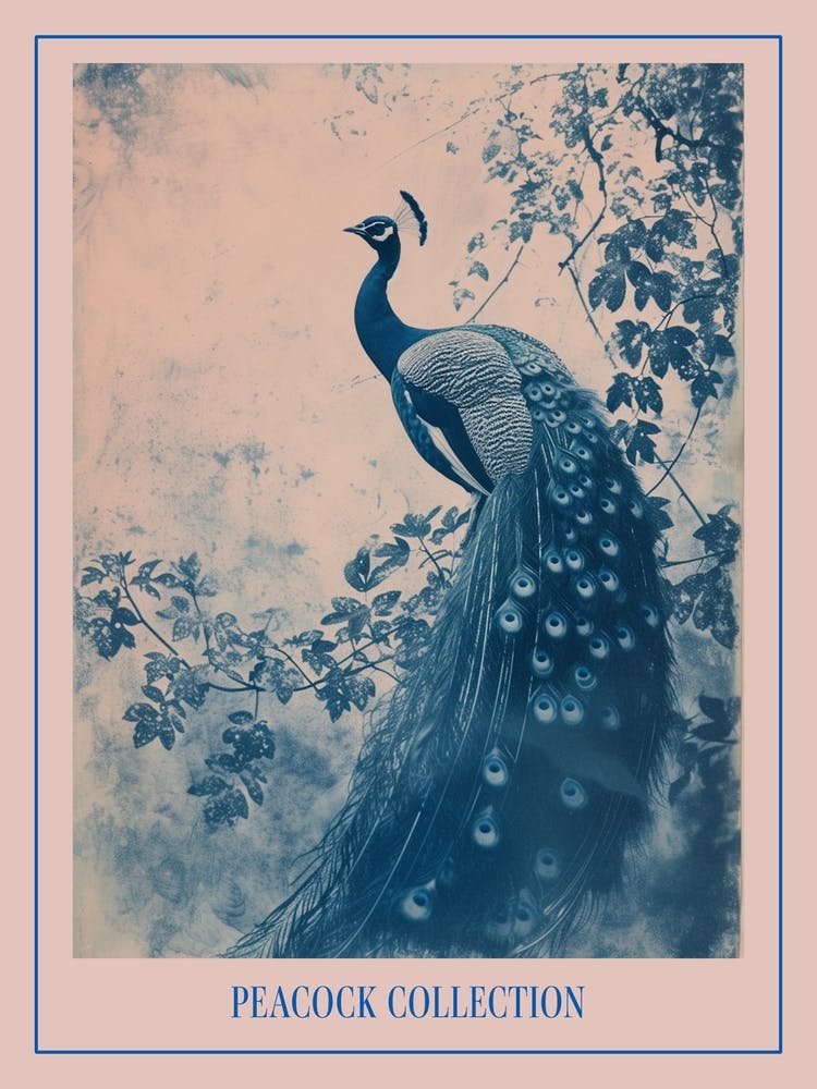 Blue Peacock & Ivory Cyanotype Inspired Poster