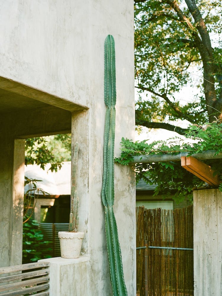 Austin Texas on Film