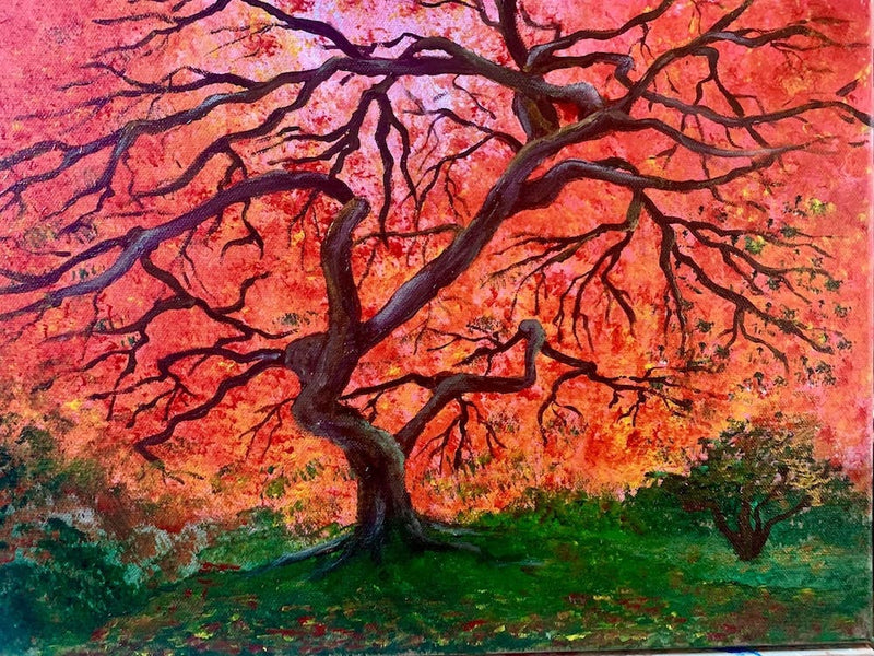 Red Maple Tree