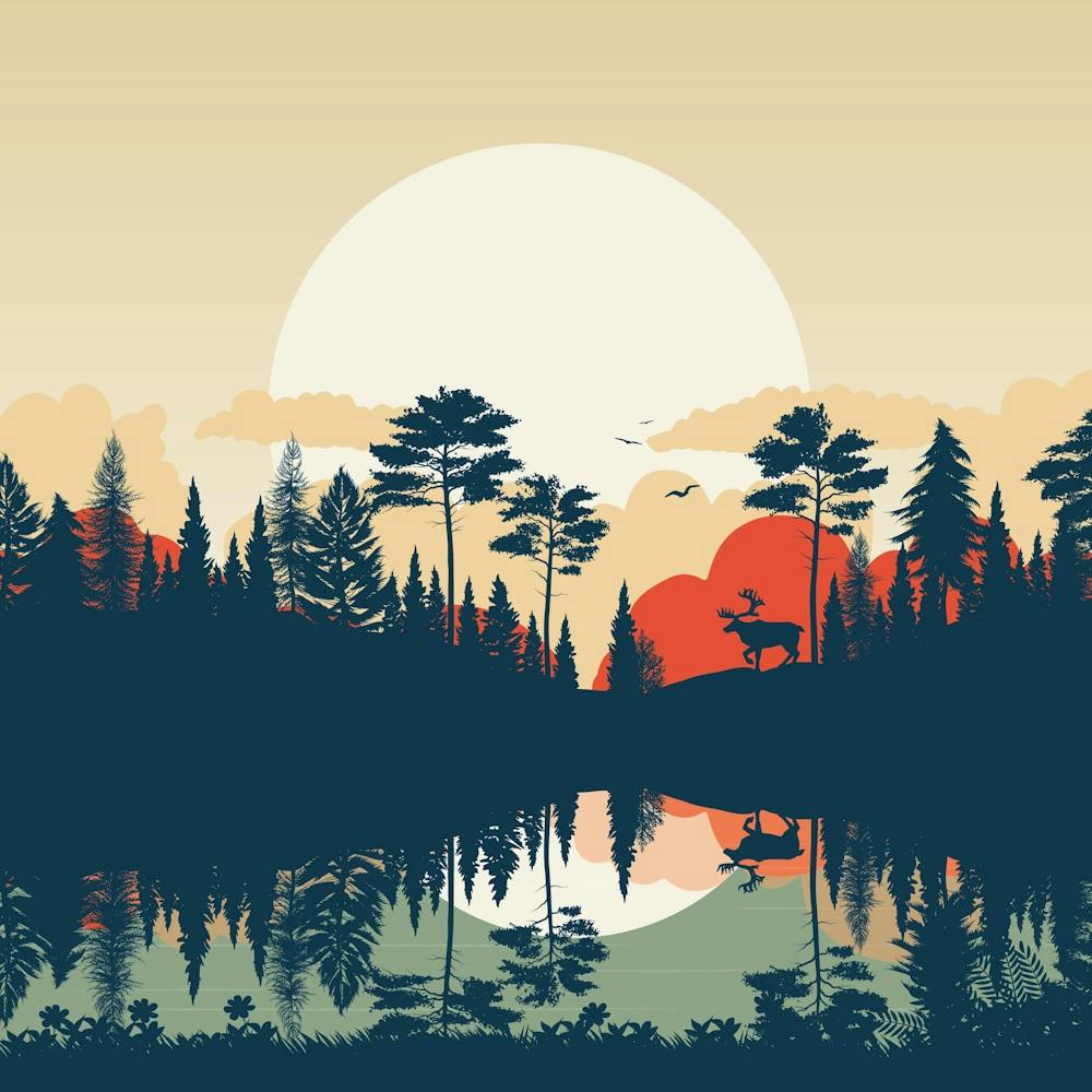 Summer Lake Forest Sunset Deer Water