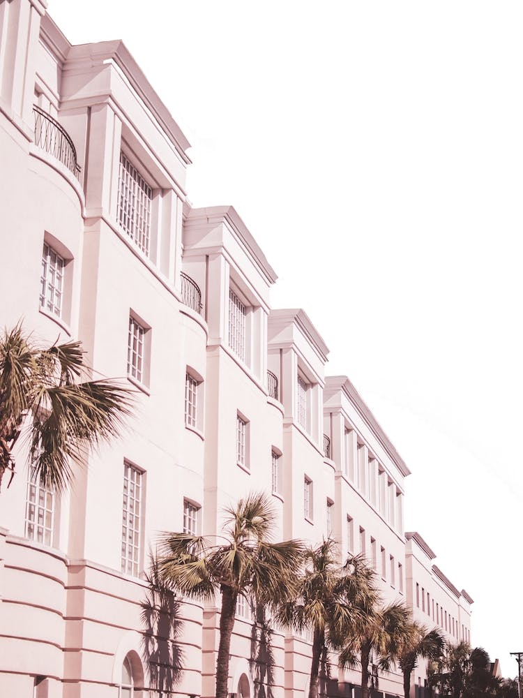 Pink And Palm Building