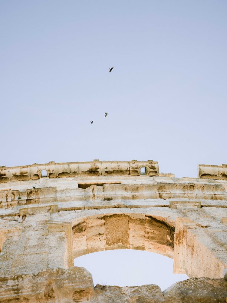 Look Up In Pula Croatia