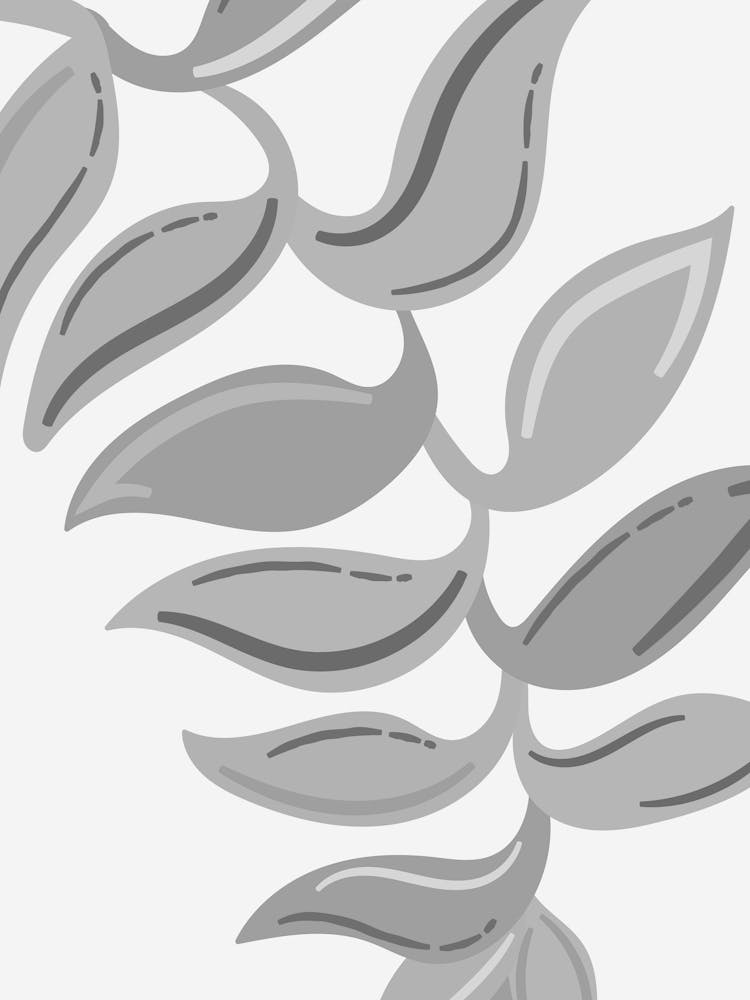 Eucalyptus Leaves 2
