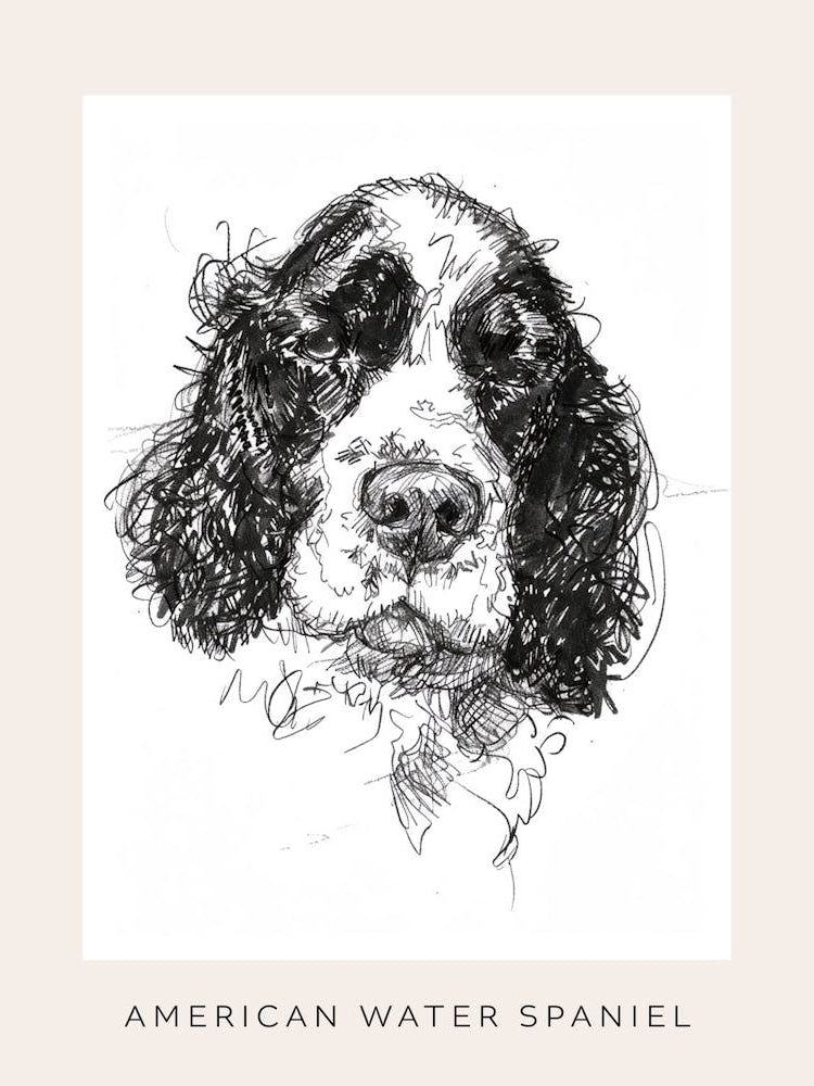 American Water Spaniel Line Sketch 2 Poster
