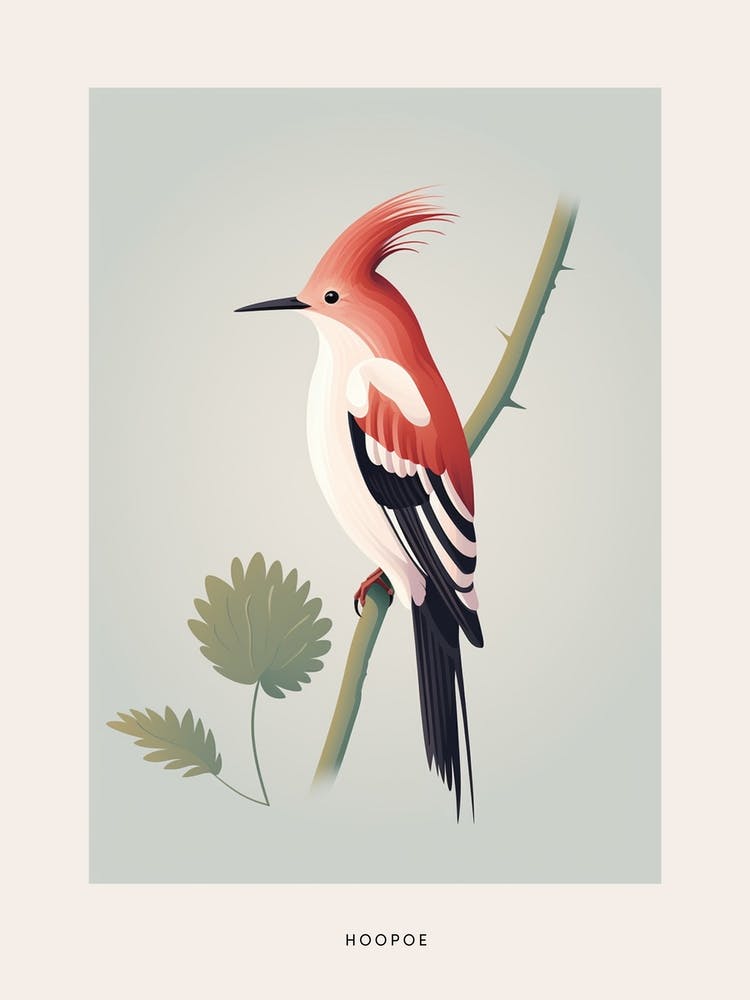 Minimalist Hoopoe 1 Bird Poster