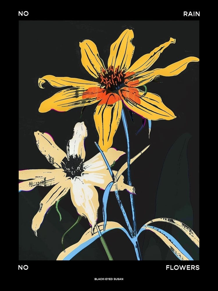 No Rain No Flowers Poster Black Poster Eyed Susan 2