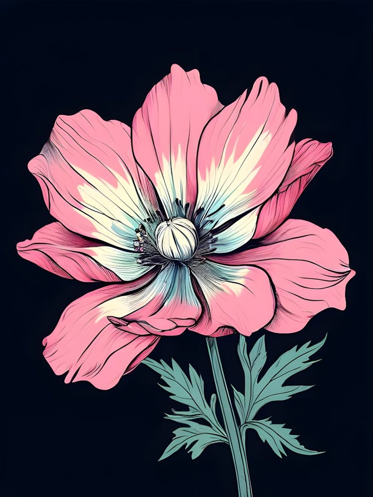 Pink Anemone Flower 3