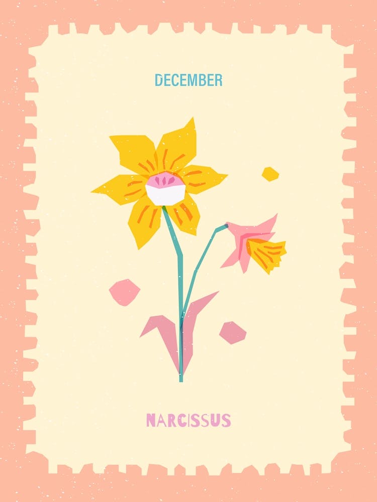 December Birth-month Flower Narcissus