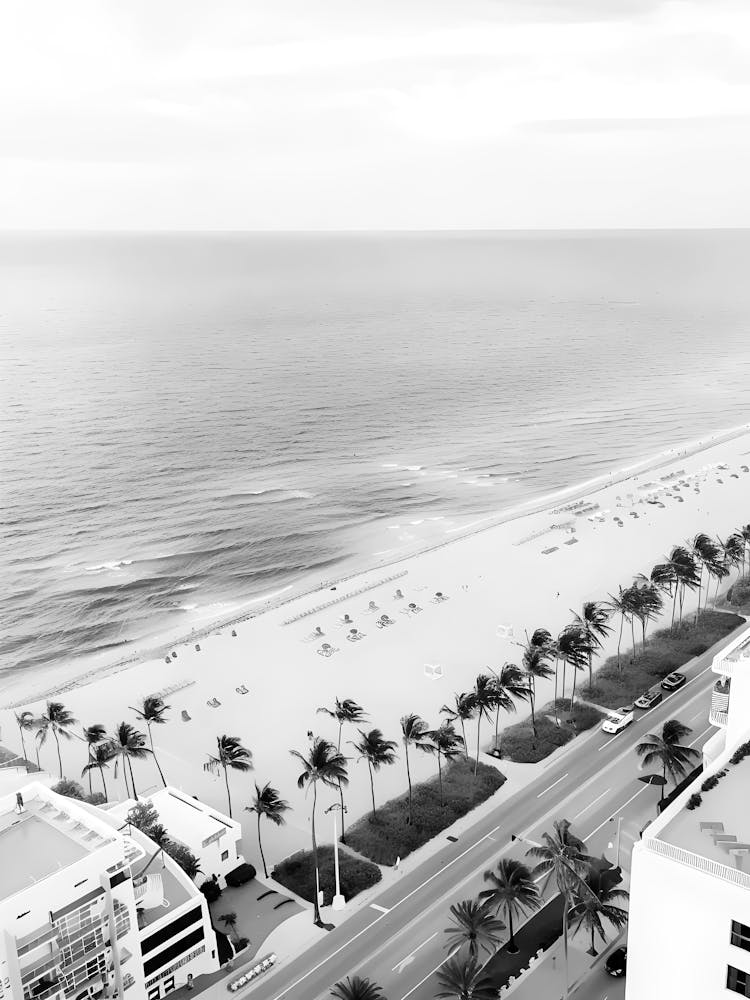 Black And White Photo Of Miami Beach