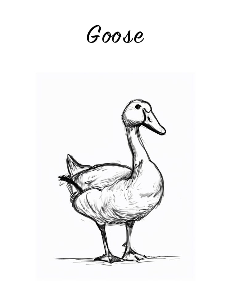 B&W Goose Poster