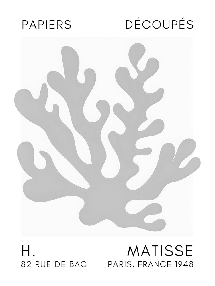 H Matisse 53