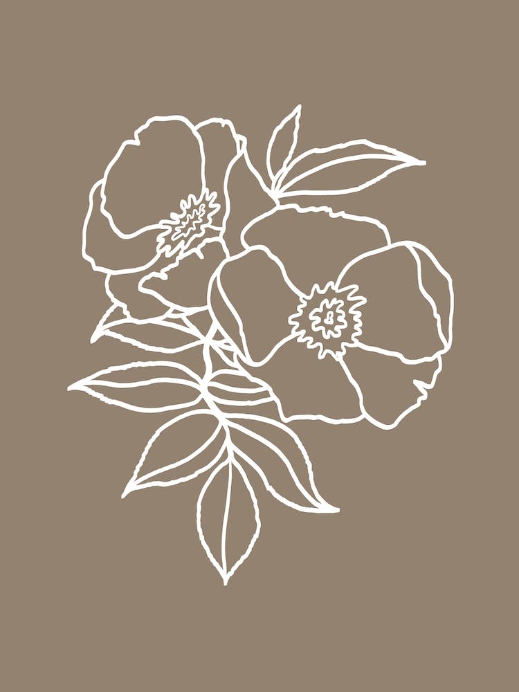 Flower Line Art No 480