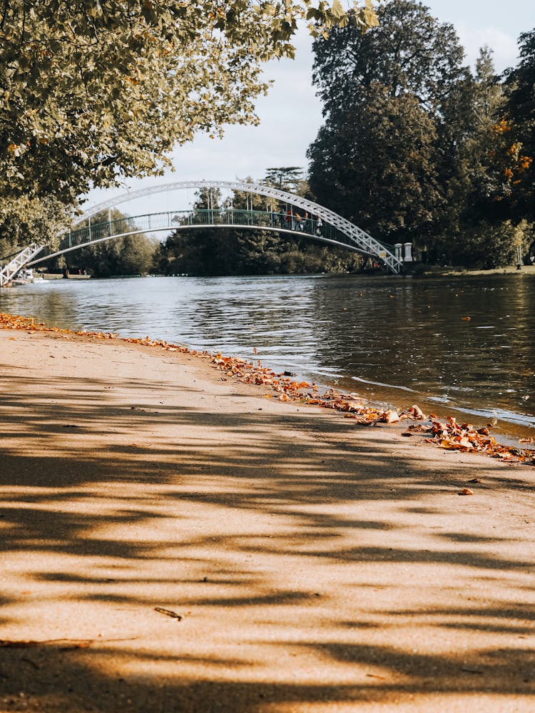 Bridge over a River