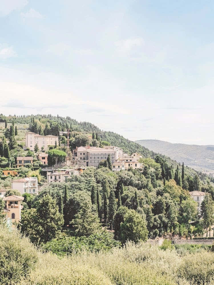 Florence, Italy I Tuscan landscape at Fiesole with mountains and cypresses, as near Milan or Rome in greenery nature with retro vintage pastel summer aesthetic photography of italian countryside old villages