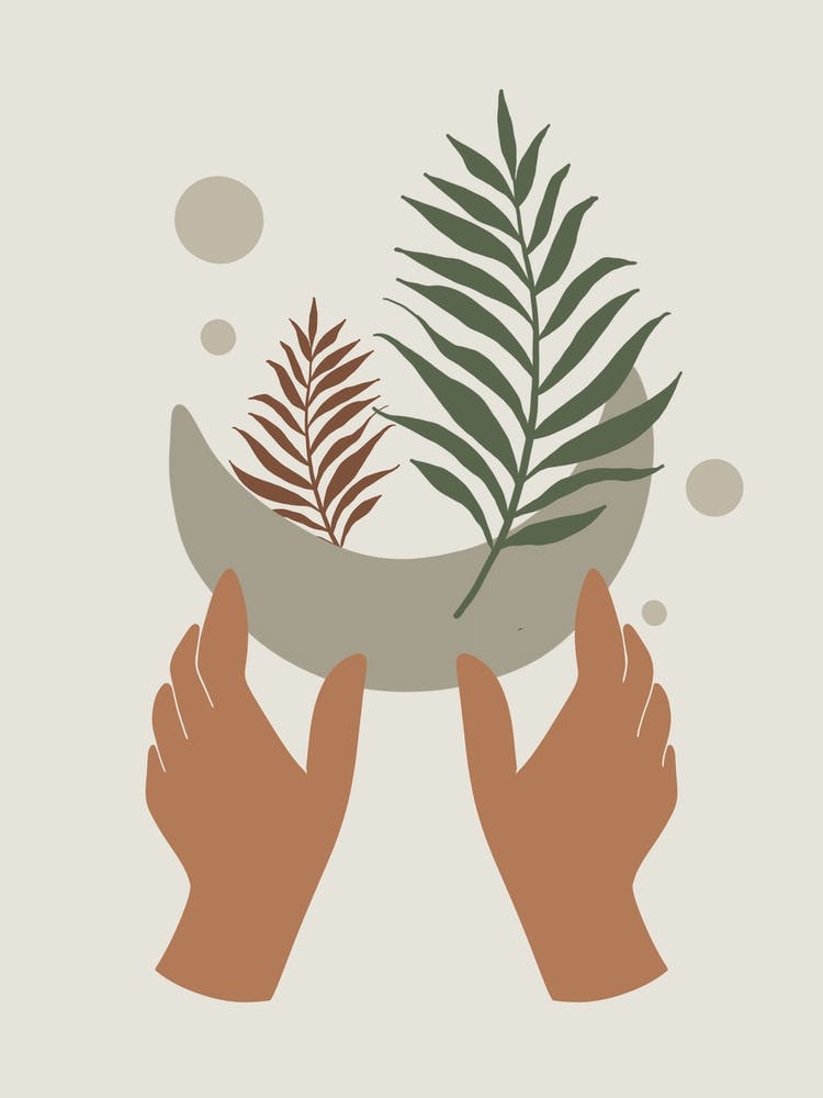 Hands Holding A Leaf