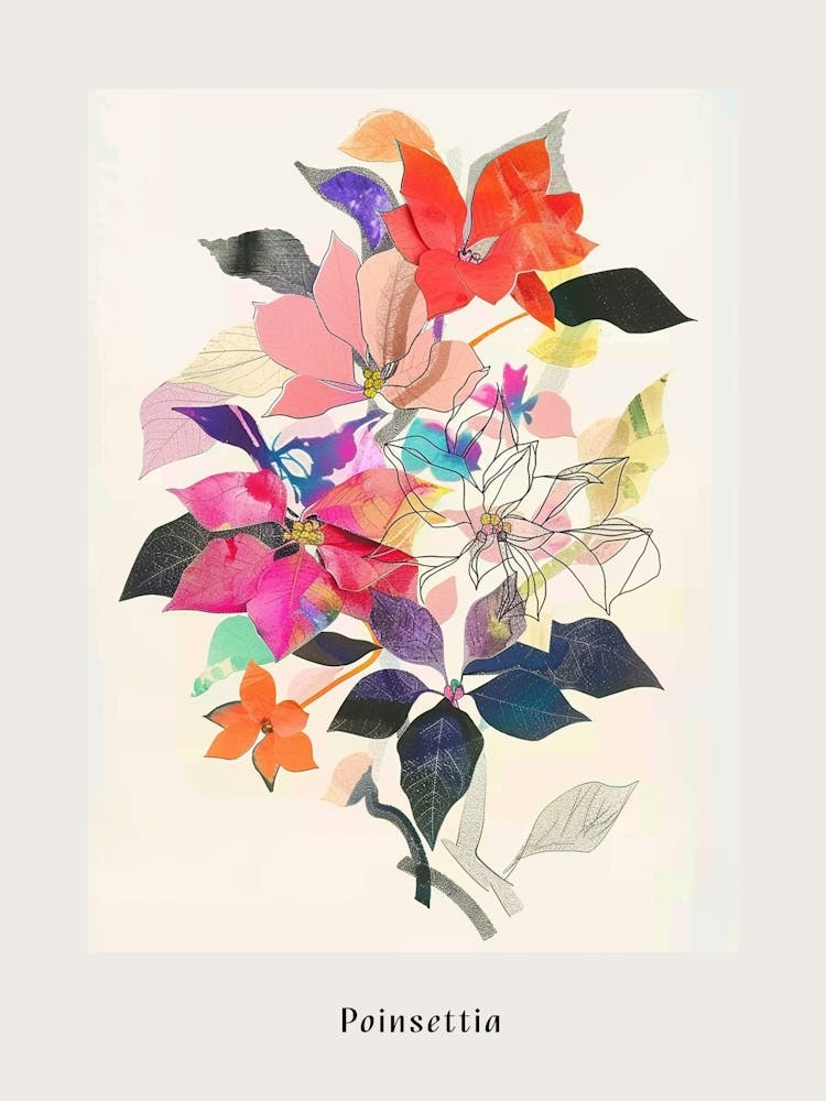 Poinsettia 1 Collage Flower Bouquet Poster