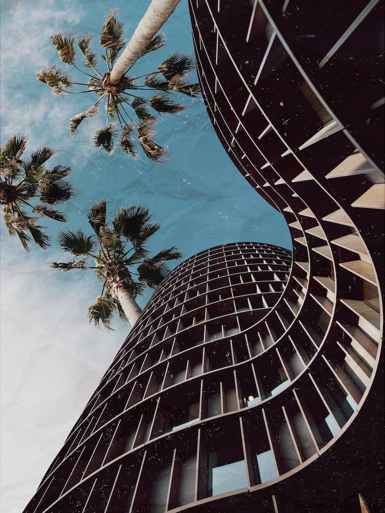 Paper Palm Trees