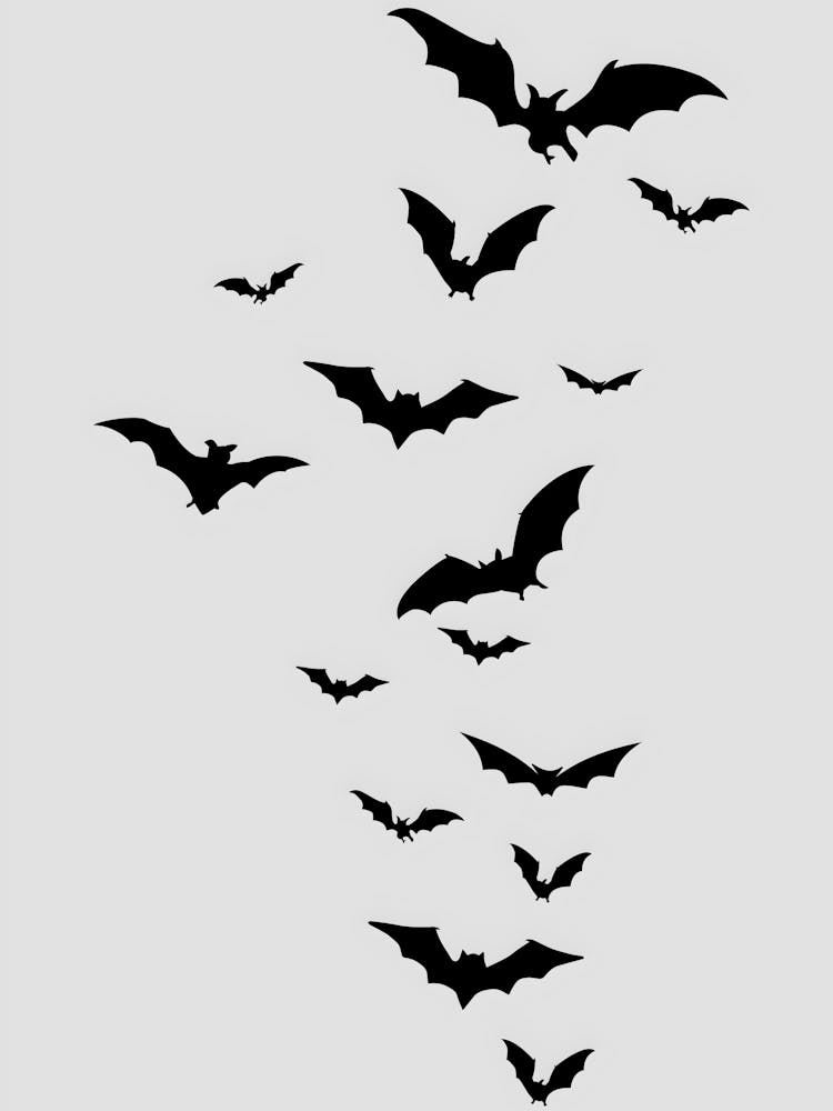 Bats Flying In The Sky 4