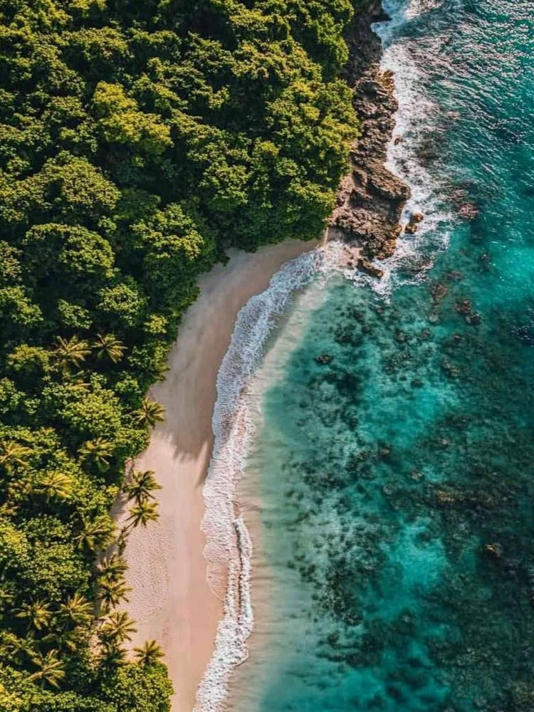 Aerial View Of A Tropical Beach 18